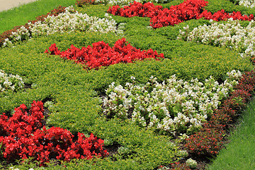 Image showing Flowerbed