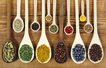 Image showing Spices