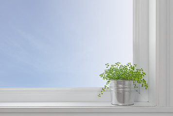 Image showing Green plant on a window sill, in a modern home