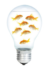 Image showing Gold small fish in light bulb