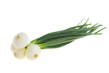 Image showing spring onions