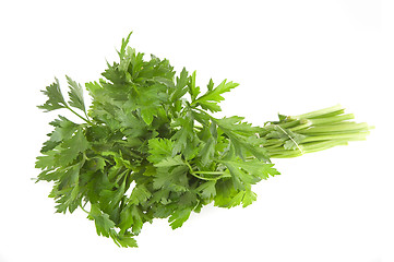 Image showing parsley