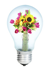 Image showing Electrobulb with a bunch of flowers on a white background