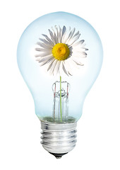 Image showing Electrobulb with oxeye