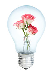 Image showing Electrobulb with a bunch of rose