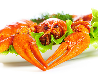 Image showing Boiled crawfish on a white background