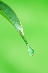 Image showing  waterdrop 