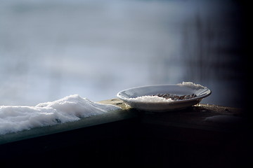 Image showing Food for the birds