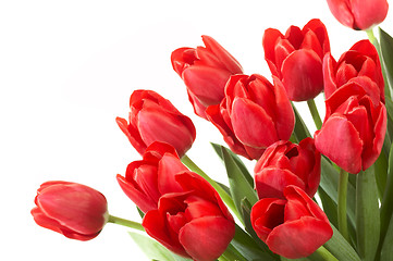 Image showing tulips