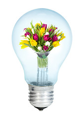 Image showing Electrobulb with a bunch of tulips