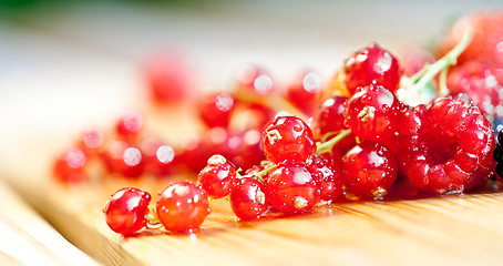 Image showing currants