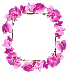 Image showing Framework from flowers orchids