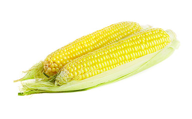 Image showing corn