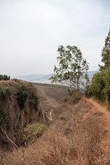 Image showing upper galilee natural reserve