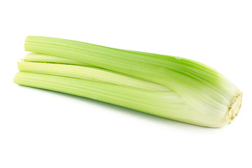 Image showing Bunch of celery