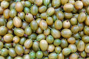 Image showing Gooseberry