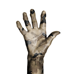 Image showing Camouflaged old hand