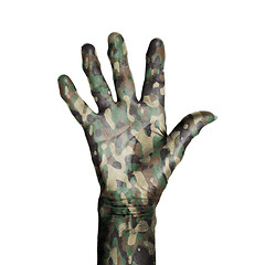 Image showing Camouflaged old hand