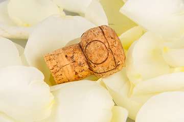 Image showing Cork from champagne isolated