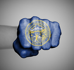 Image showing United states, fist with the flag of Nebraska