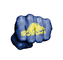 Image showing United states, fist with the flag of Oregon