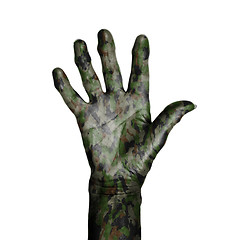 Image showing Camouflaged old hand