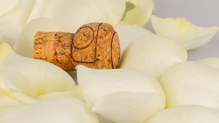 Image showing Cork from champagne isolated