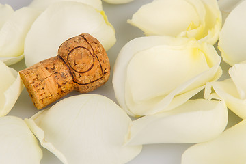 Image showing Cork from champagne isolated