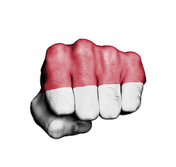 Image showing Front view of punching fist