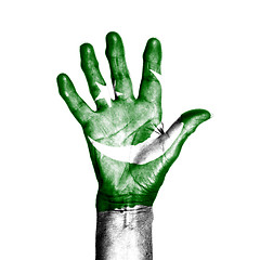 Image showing Hand of an old woman, wrapped with a pattern of the flag of Paki