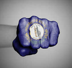 Image showing United states, fist with the flag of a state