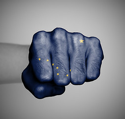 Image showing United states, fist with the flag of a state