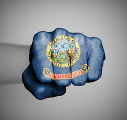 Image showing United states, fist with the flag of a state