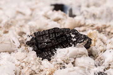 Image showing Piece of black coal