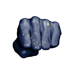 Image showing United states, fist with the flag of a state