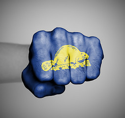 Image showing United states, fist with the flag of Oregon