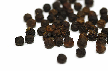 Image showing Black Pepper