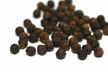 Image showing Black Pepper