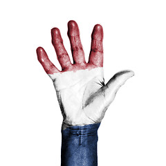 Image showing Hand of an old woman, wrapped with a pattern of the flag of Holl