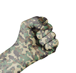 Image showing Camouflaged fist