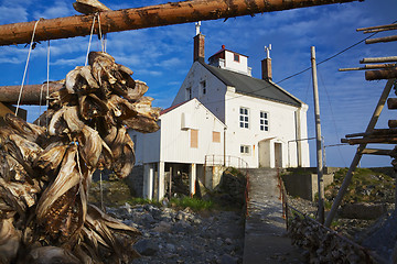 Image showing Stockfish drying