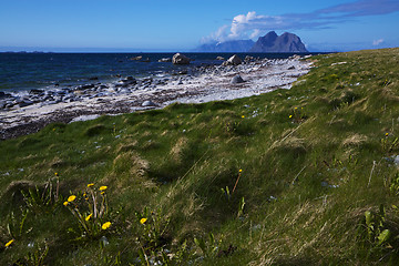 Image showing Beach on Lofoten islands