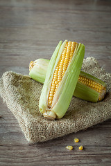 Image showing Fresh corn