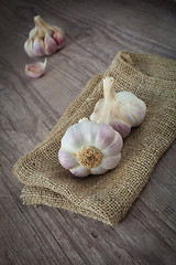 Image showing Garlic