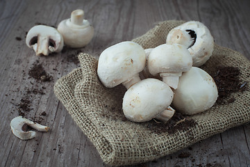 Image showing Mushrooms