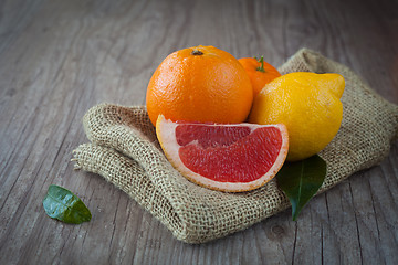 Image showing Citrus fuits