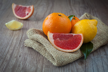 Image showing Citrus fuits