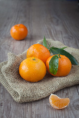 Image showing fresh tangerine