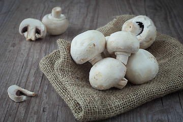 Image showing Mushrooms