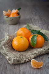 Image showing fresh tangerine